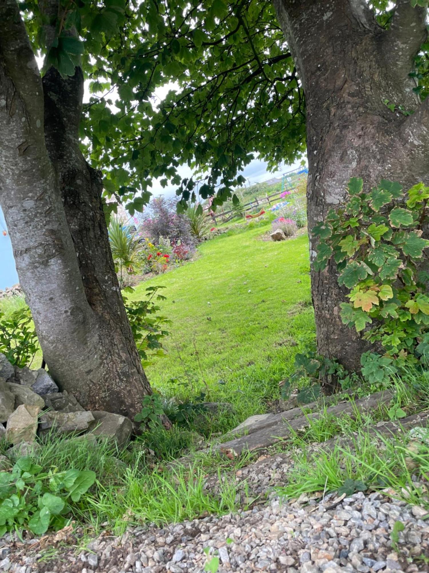 Family And Pet Friendly Farm Stay 밸리셰넌 외부 사진